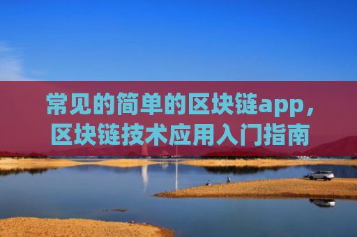 常见的简单的区块链app，区块链技术应用入门指南
