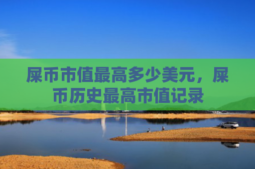 屎币市值最高多少美元，屎币历史最高市值记录