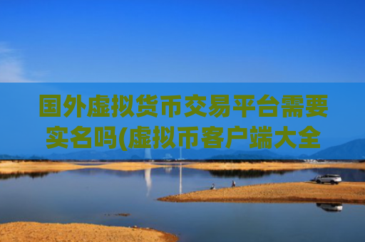 国外虚拟货币交易平台需要实名吗(虚拟币客户端大全)