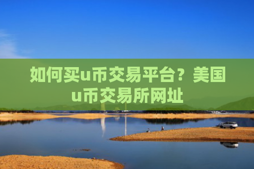 如何买u币交易平台?美国u币交易所网址