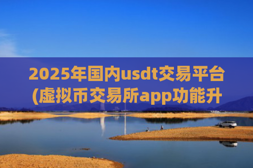 2025年国内usdt交易平台(虚拟币交易所app功能升级)