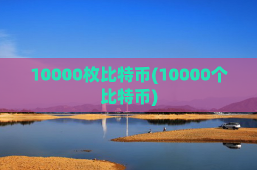 10000枚比特币(10000个比特币)