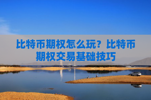 比特币期权怎么玩?比特币期权交易基础技巧