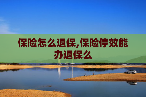 保险怎么退保,保险停效能办退保么