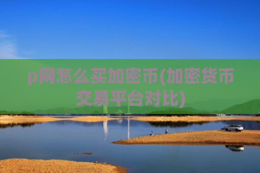 p网怎么买加密币(加密货币交易平台对比)