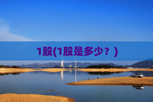 1股(1股是多少?)