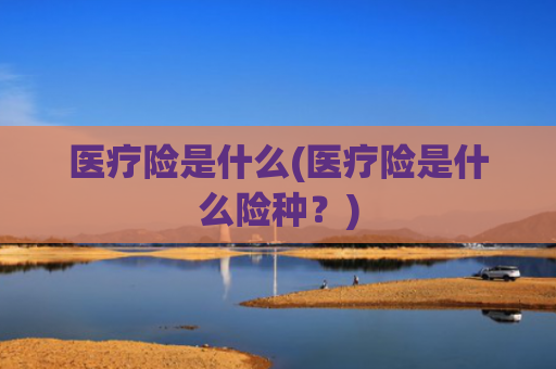 医疗险是什么(医疗险是什么险种?)