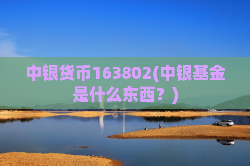 中银货币163802(中银基金是什么东西?)