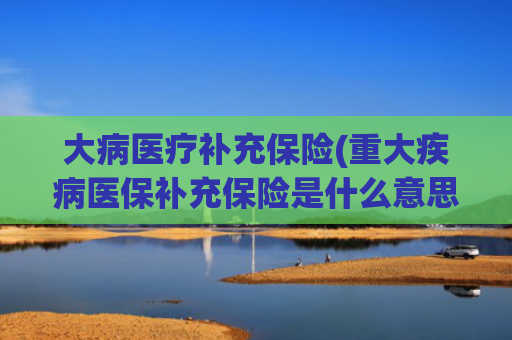 大病医疗补充保险(重大疾病医保补充保险是什么意思？)