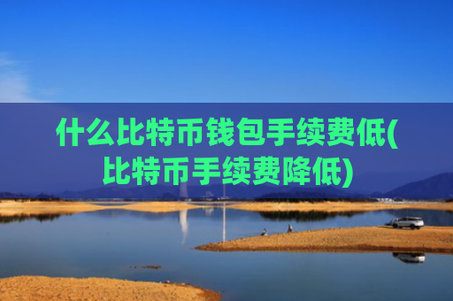 什么比特币钱包手续费低(比特币手续费降低)
