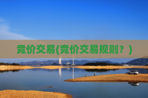 竞价交易(竞价交易规则?)