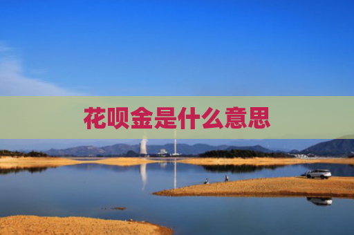 花呗金是什么意思