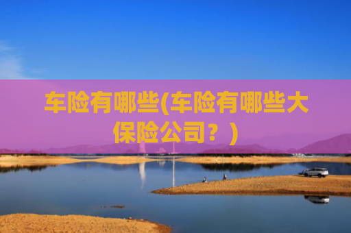 车险有哪些(车险有哪些大保险公司?)