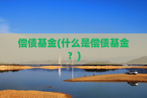 偿债基金(什么是偿债基金？)