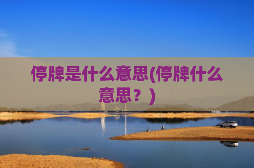 停牌是什么意思(停牌什么意思?)