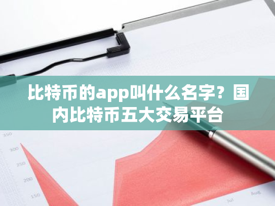 比特币的app叫什么名字？国内比特币五大交易平台
