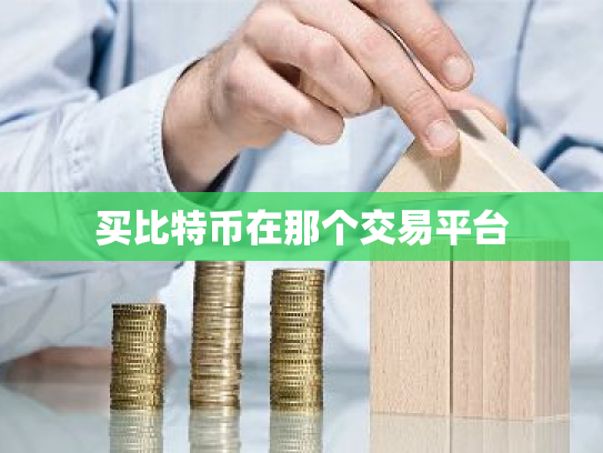 买比特币在那个交易平台