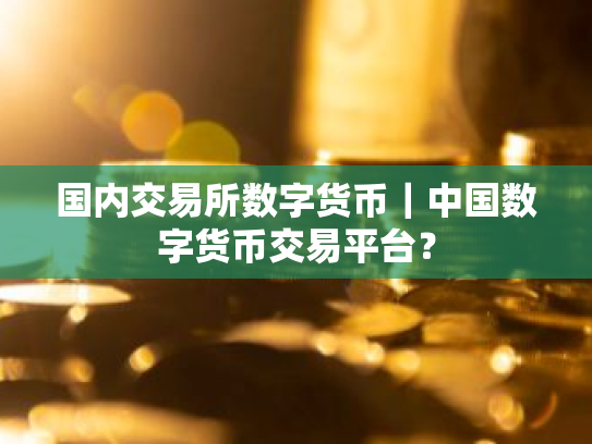国内交易所数字货币｜中国数字货币交易平台？