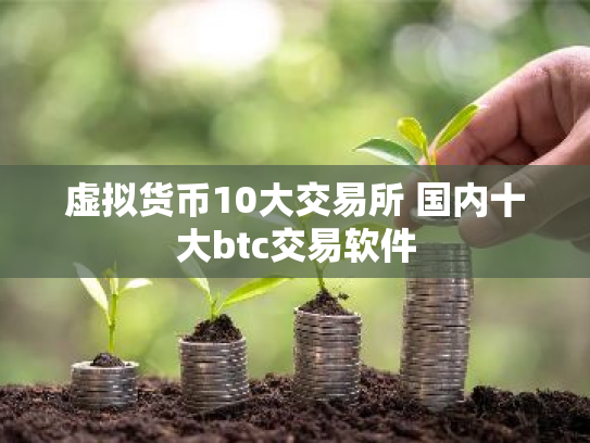 虚拟货币10大交易所 国内十大btc交易软件