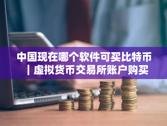 中国现在哪个软件可买比特币｜虚拟货币交易所账户购买