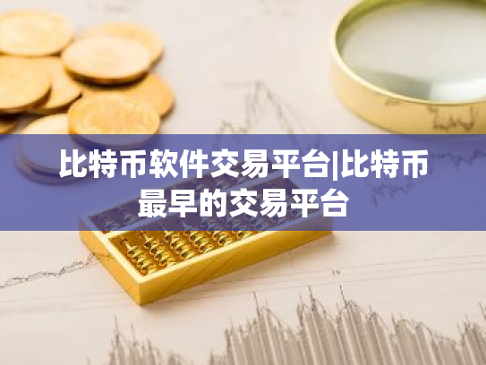 比特币软件交易平台|比特币最早的交易平台