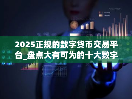 2025正规的数字货币交易平台_盘点大有可为的十大数字货币交易所
