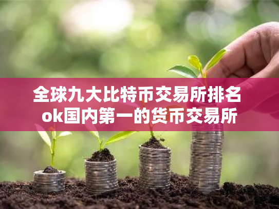 全球九大比特币交易所排名 ok国内第一的货币交易所