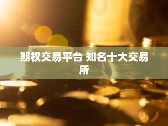 期权交易平台 知名十大交易所