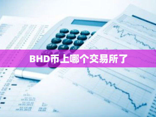 BHD币上哪个交易所了