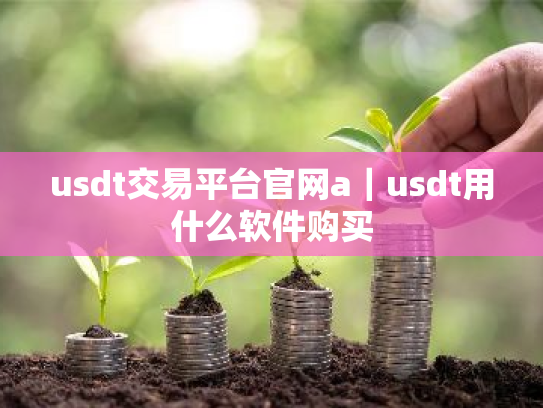 usdt交易平台官网a｜usdt用什么软件购买