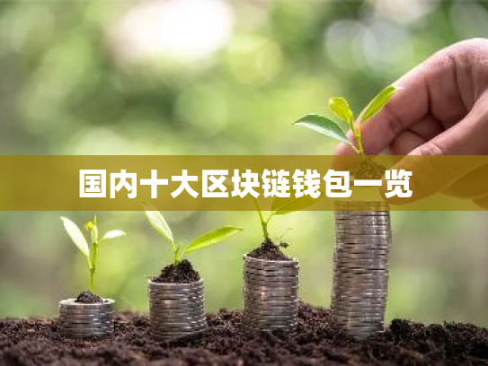 国内十大区块链钱包一览