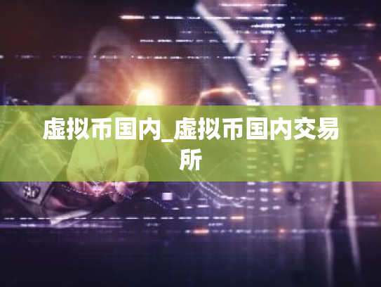 虚拟币国内_虚拟币国内交易所