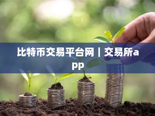 比特币交易平台网|交易所app