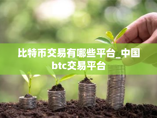比特币交易有哪些平台_中国btc交易平台