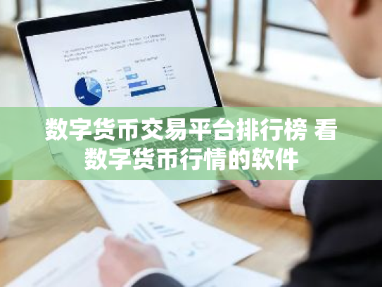 数字货币交易平台排行榜 看数字货币行情的软件