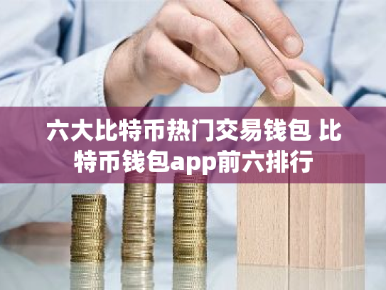 六大比特币热门交易钱包 比特币钱包app前六排行