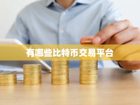 有哪些比特币交易平台