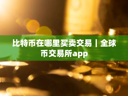 比特币在哪里买卖交易|全球币交易所app