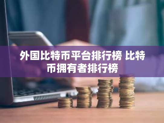 外国比特币平台排行榜 比特币拥有者排行榜