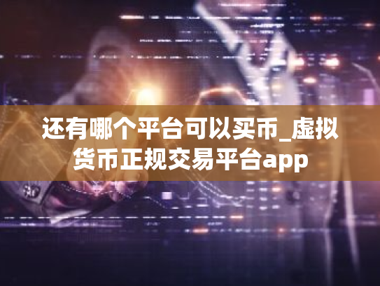 还有哪个平台可以买币_虚拟货币正规交易平台app