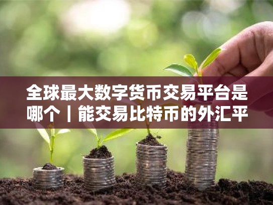 全球最大数字货币交易平台是哪个|能交易比特币的外汇平台