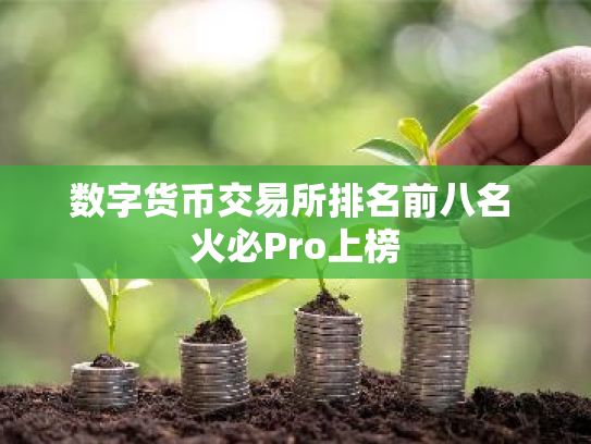数字货币交易所排名前八名 火必Pro上榜