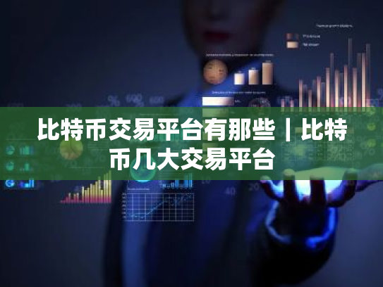 比特币交易平台有那些|比特币几大交易平台