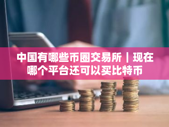 中国有哪些币圈交易所|现在哪个平台还可以买比特币