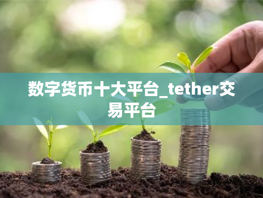 数字货币十大平台_tether交易平台
