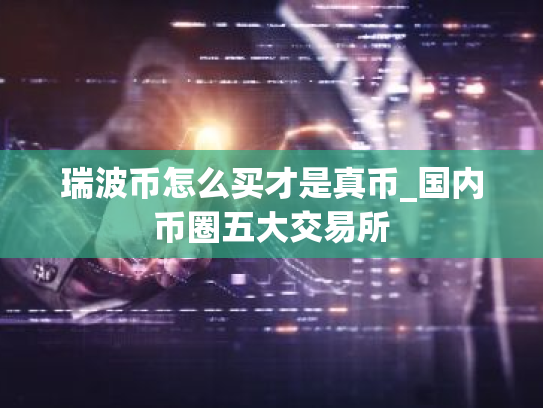 瑞波币怎么买才是真币_国内币圈五大交易所