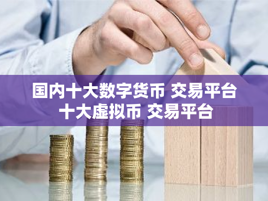 国内十大数字货币 交易平台 十大虚拟币 交易平台