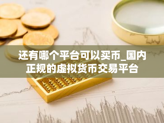 还有哪个平台可以买币_国内正规的虚拟货币交易平台