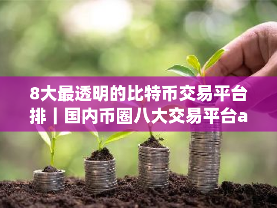 8大最透明的比特币交易平台排｜国内币圈八大交易平台app
