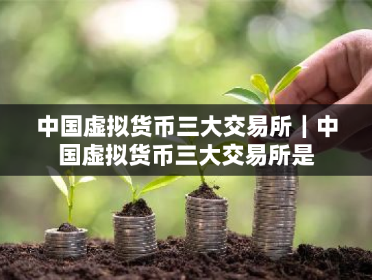 中国虚拟货币三大交易所｜中国虚拟货币三大交易所是